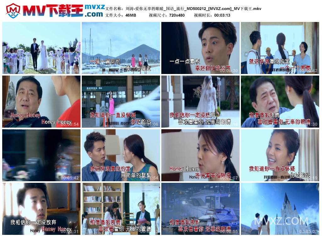 刘涛-爱你无辜的眼睛_国语_流行_MD500212